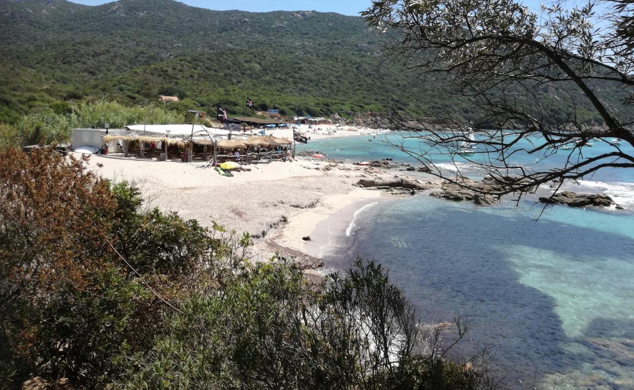 Foto de Cala d'Orzo con brillante arena fina superficie