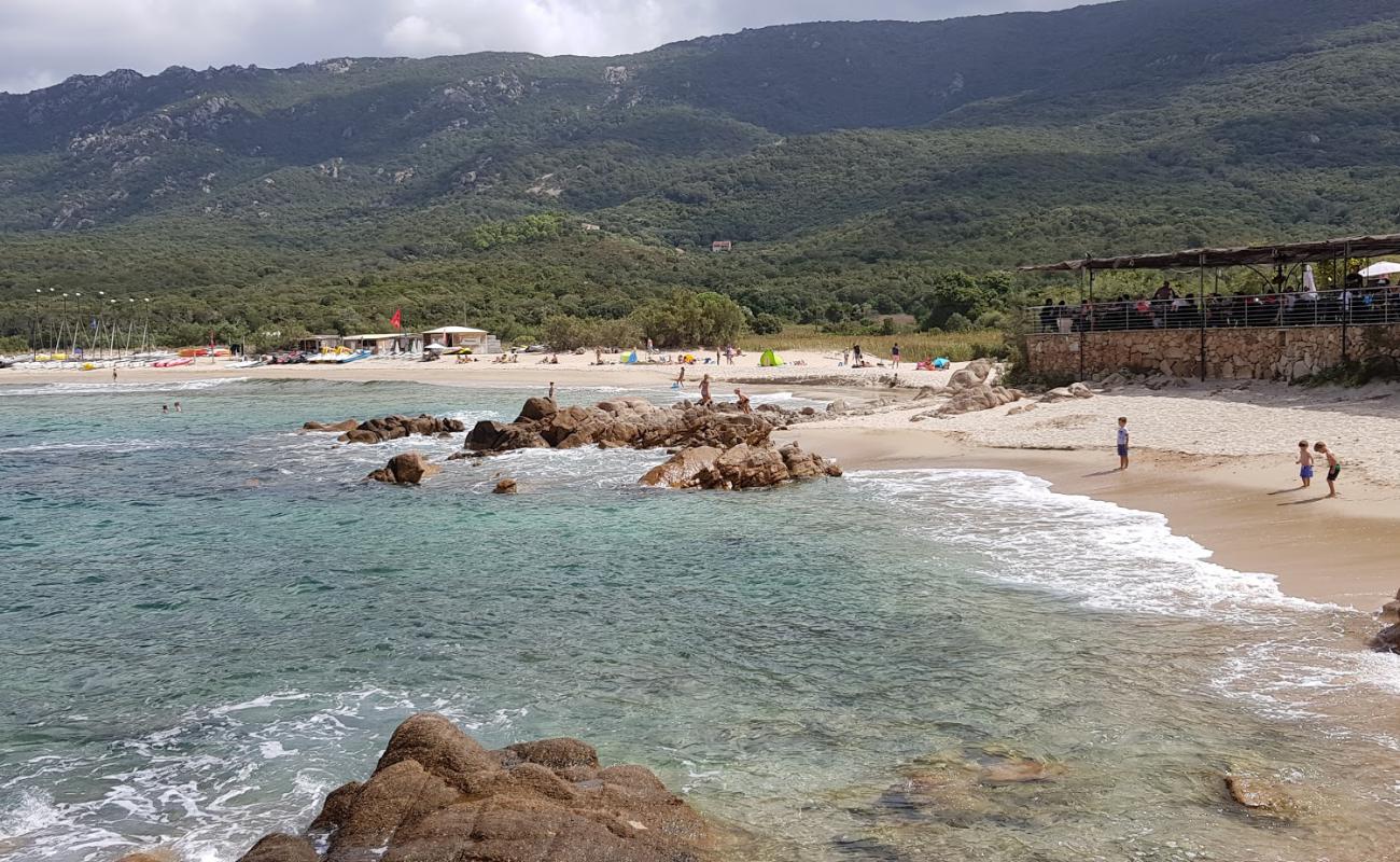 Foto de Portigliolo beach con brillante arena fina superficie