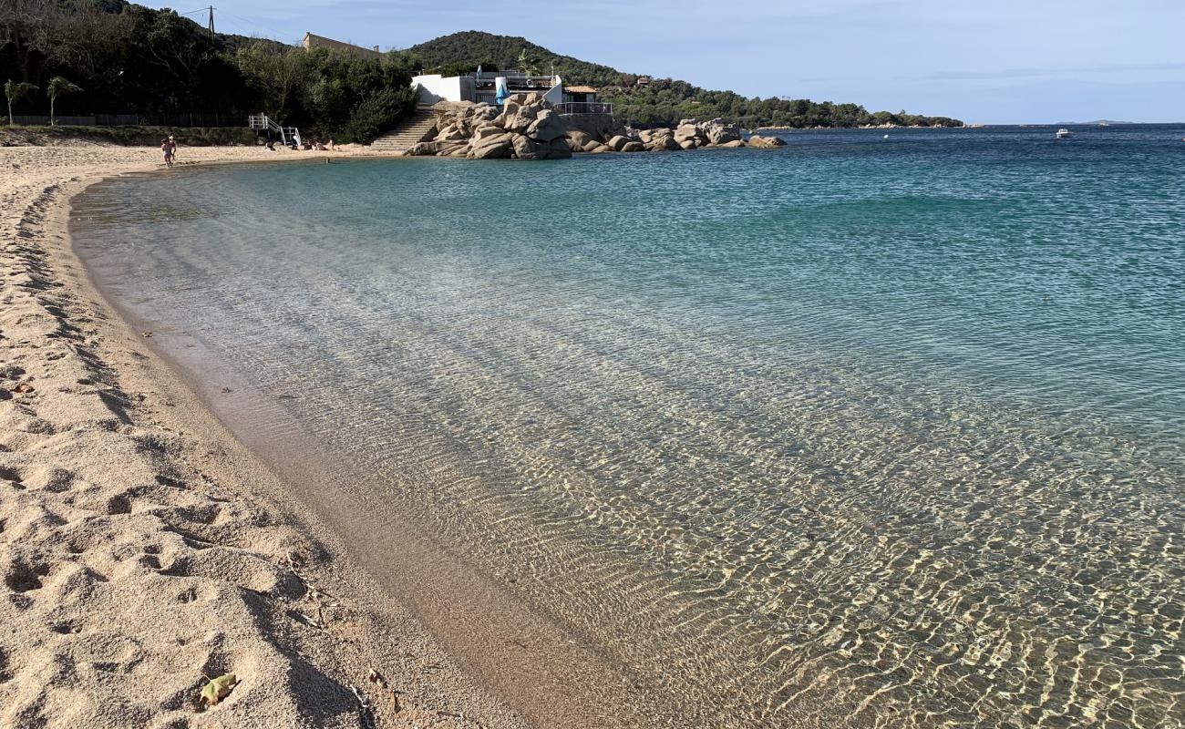 Foto de Playa de Verghia con brillante arena fina superficie