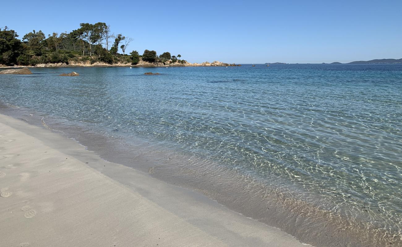 Foto de Playa Mare E Sole con brillante arena fina superficie