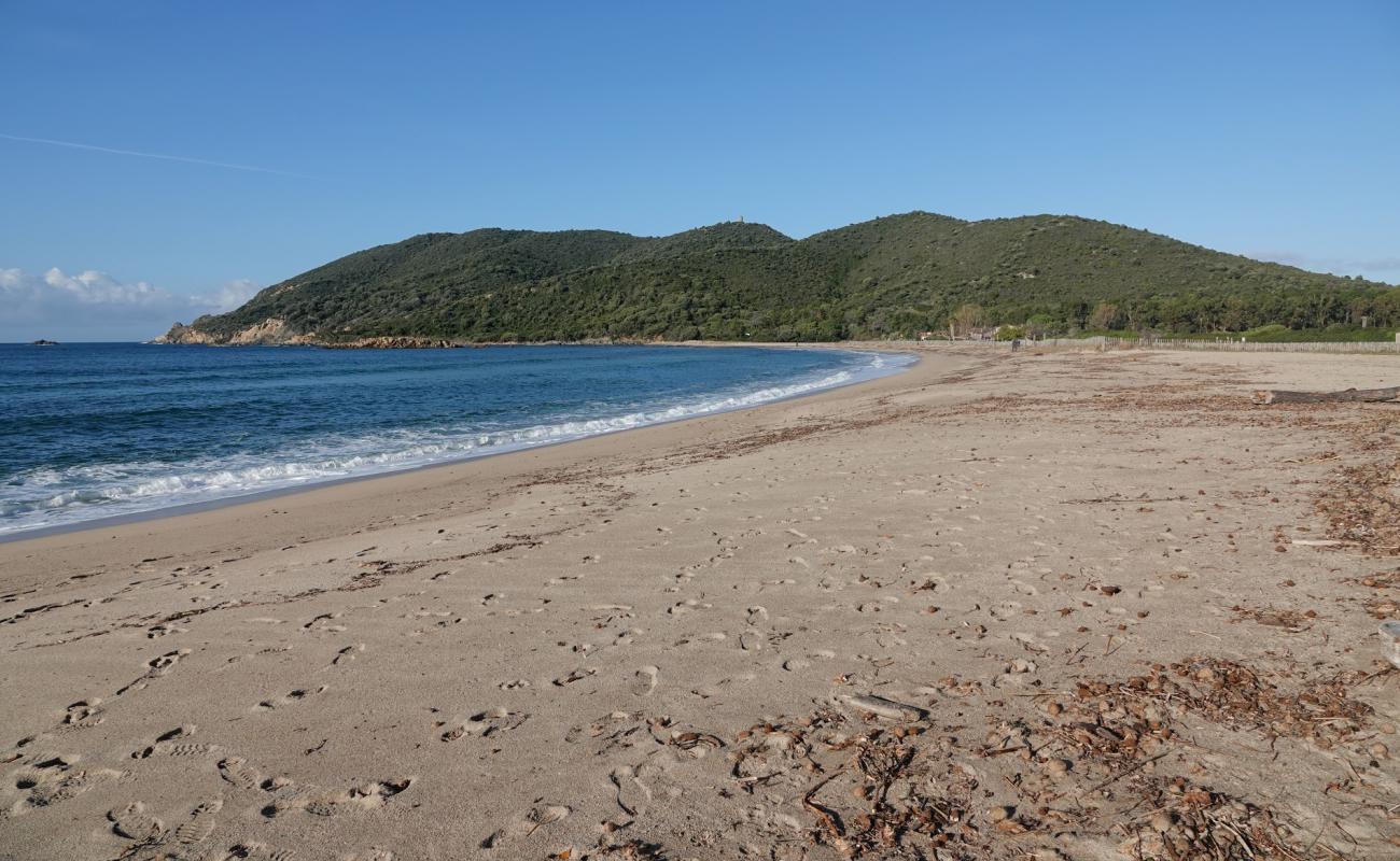 Foto de Plage De Chiuni con brillante arena fina superficie