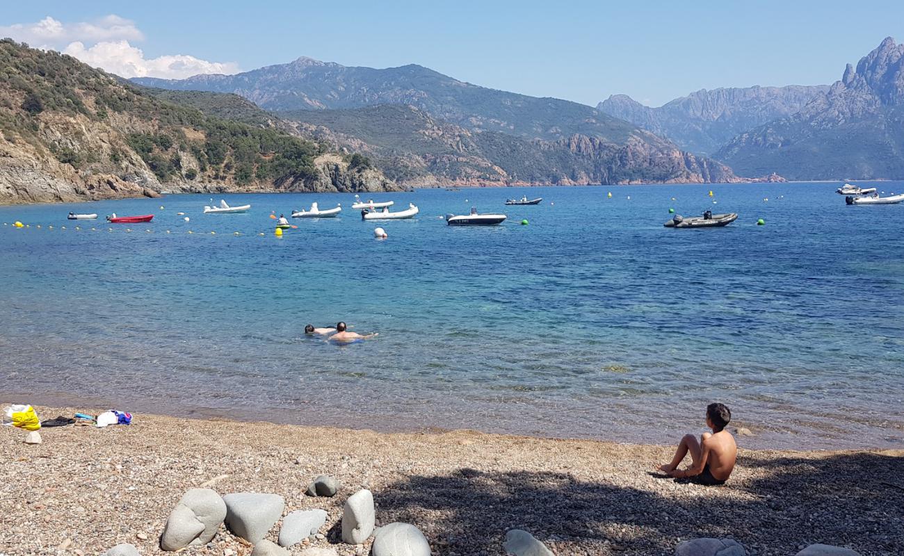 Foto de Playa Punta Di Latone con guijarro ligero superficie