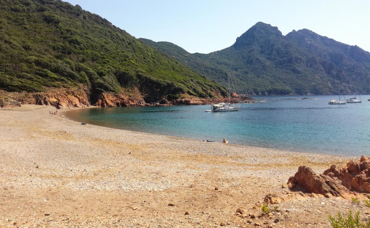 Foto de Osani beach con muy limpio nivel de limpieza