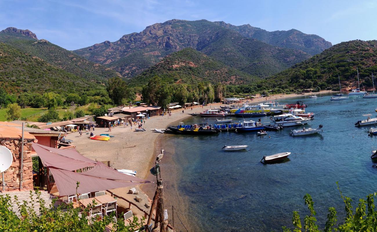 Foto de Girolata beach con arena fina y guijarros superficie