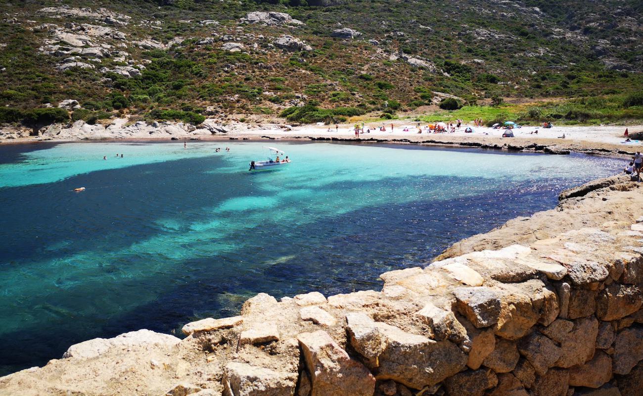 Foto de Alga beach con arena brillante superficie