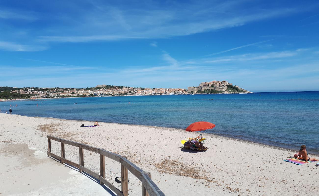 Foto de Calvi beach con arena brillante superficie