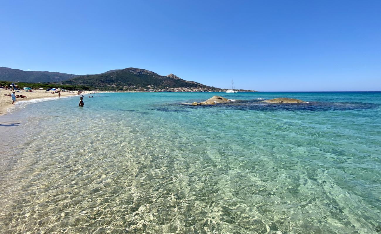 Foto de Playa de Aregno con arena brillante superficie