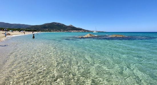 Playa de Aregno