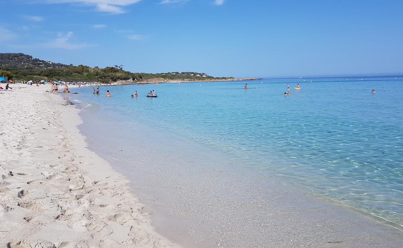 Foto de Playa Ghjunchitu con brillante arena fina superficie