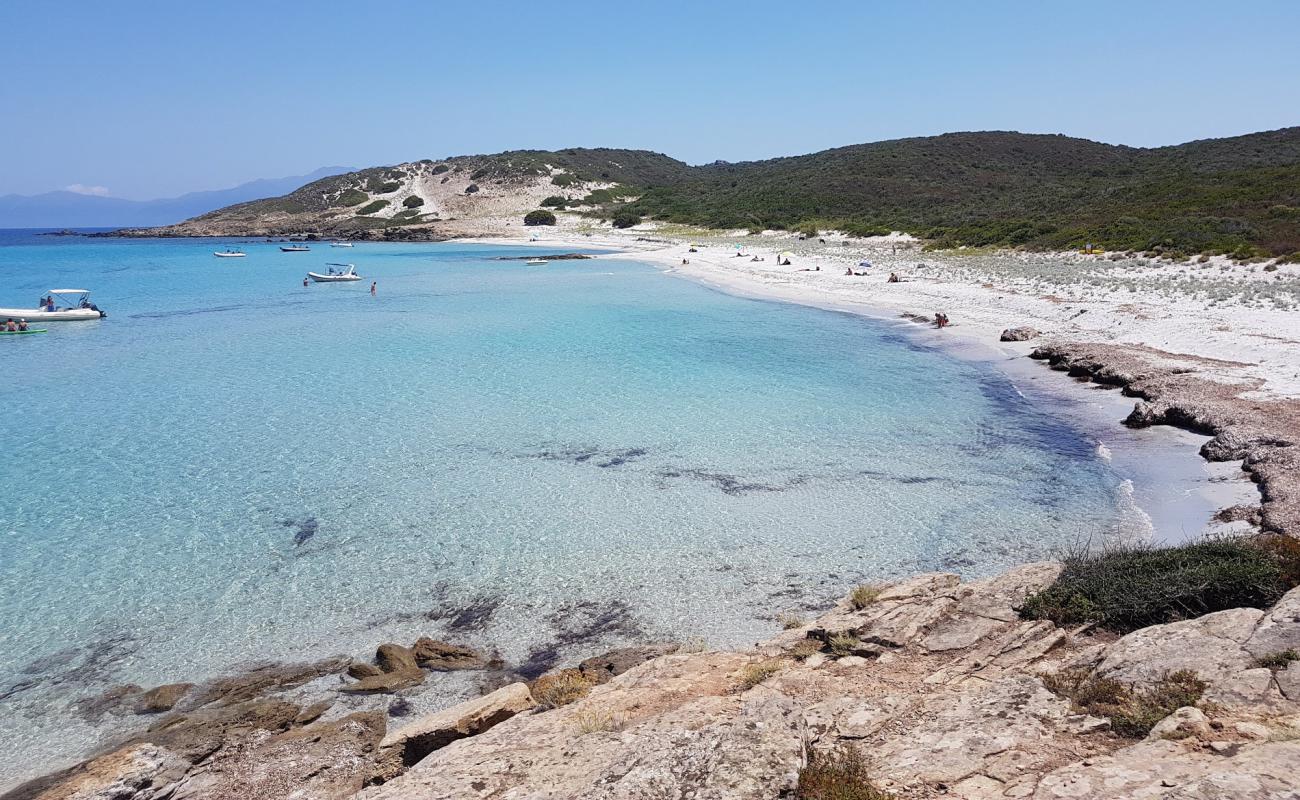 Foto de Ghignu beach con arena brillante superficie