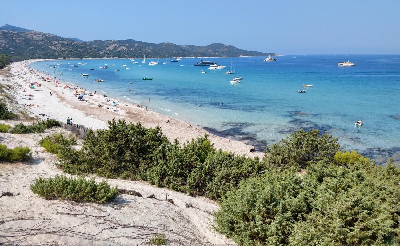 Foto de Playa de Saleccia con brillante arena fina superficie