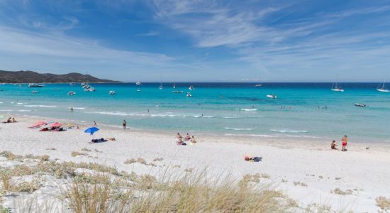 Playa de Saleccia