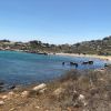 Playa Cala Sderenaia