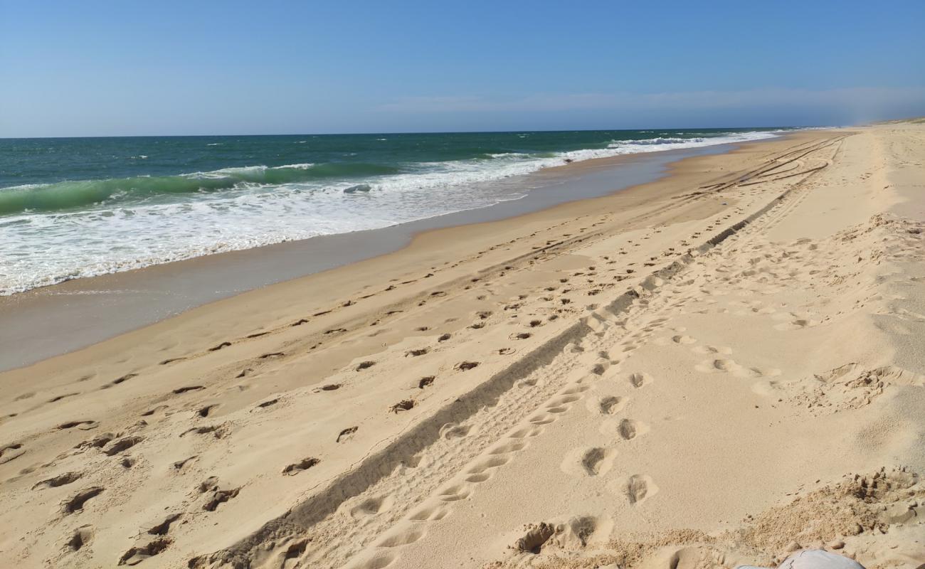 Foto de Plage de l'Especier con arena fina blanca superficie