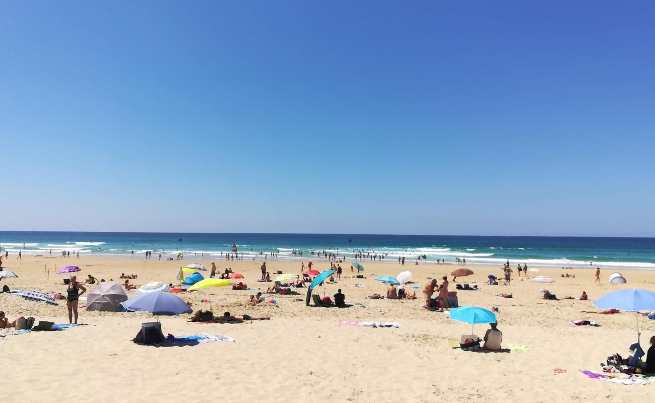 Foto de Plage de Biscarrosse con arena fina blanca superficie