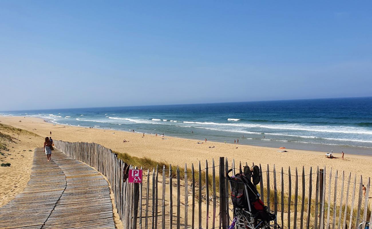 Foto de Jenny beach con arena brillante superficie