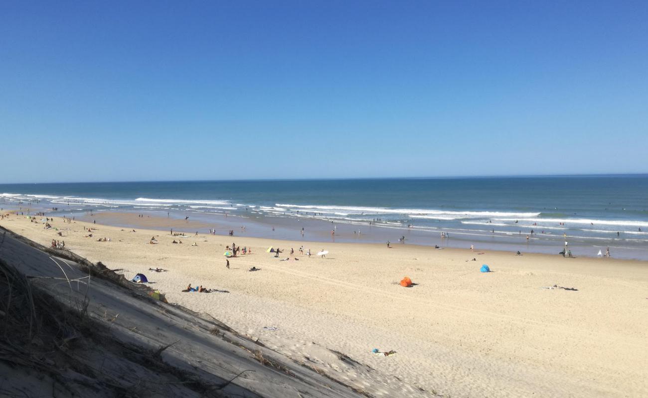 Foto de Playa de Carcans con arena blanca superficie