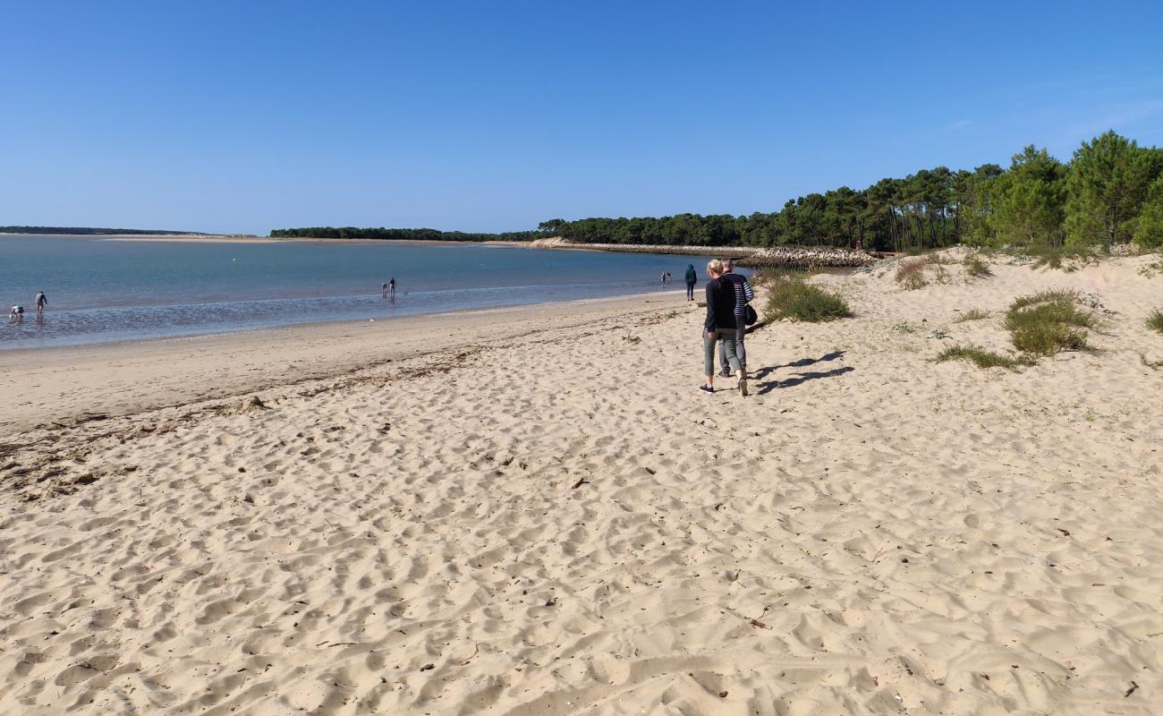 Foto de Plage de Gatseau con arena blanca superficie