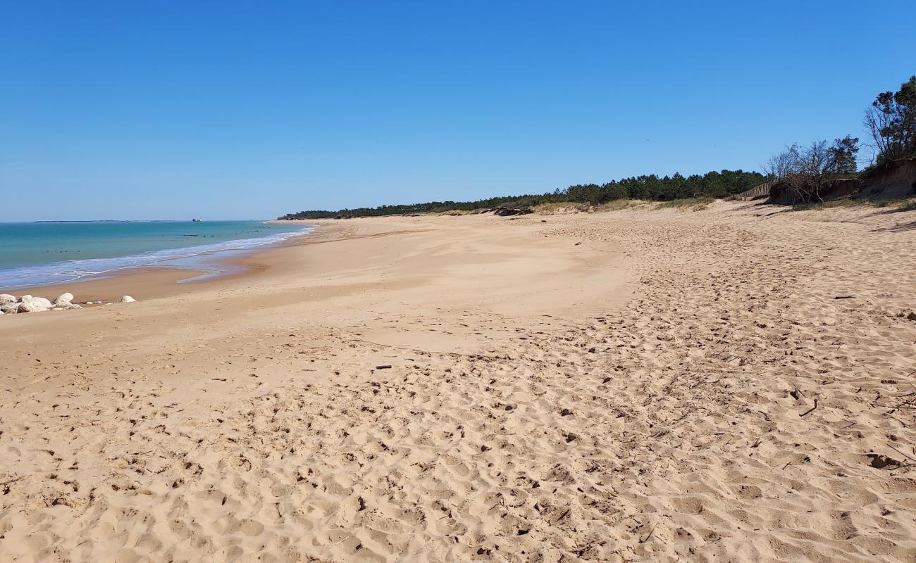 Foto de Plage de La Gautrelle con arena brillante superficie