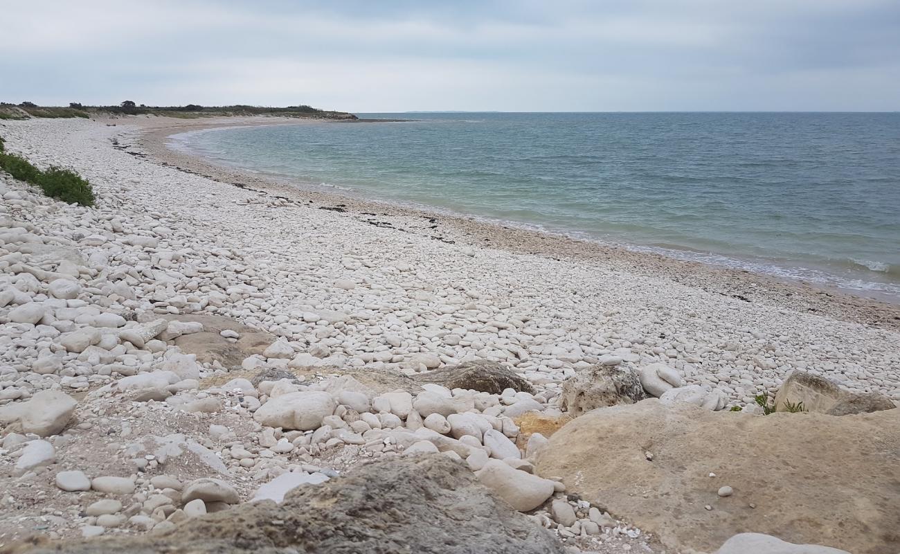 Foto de Plage Du Roux con guijarro blanco superficie