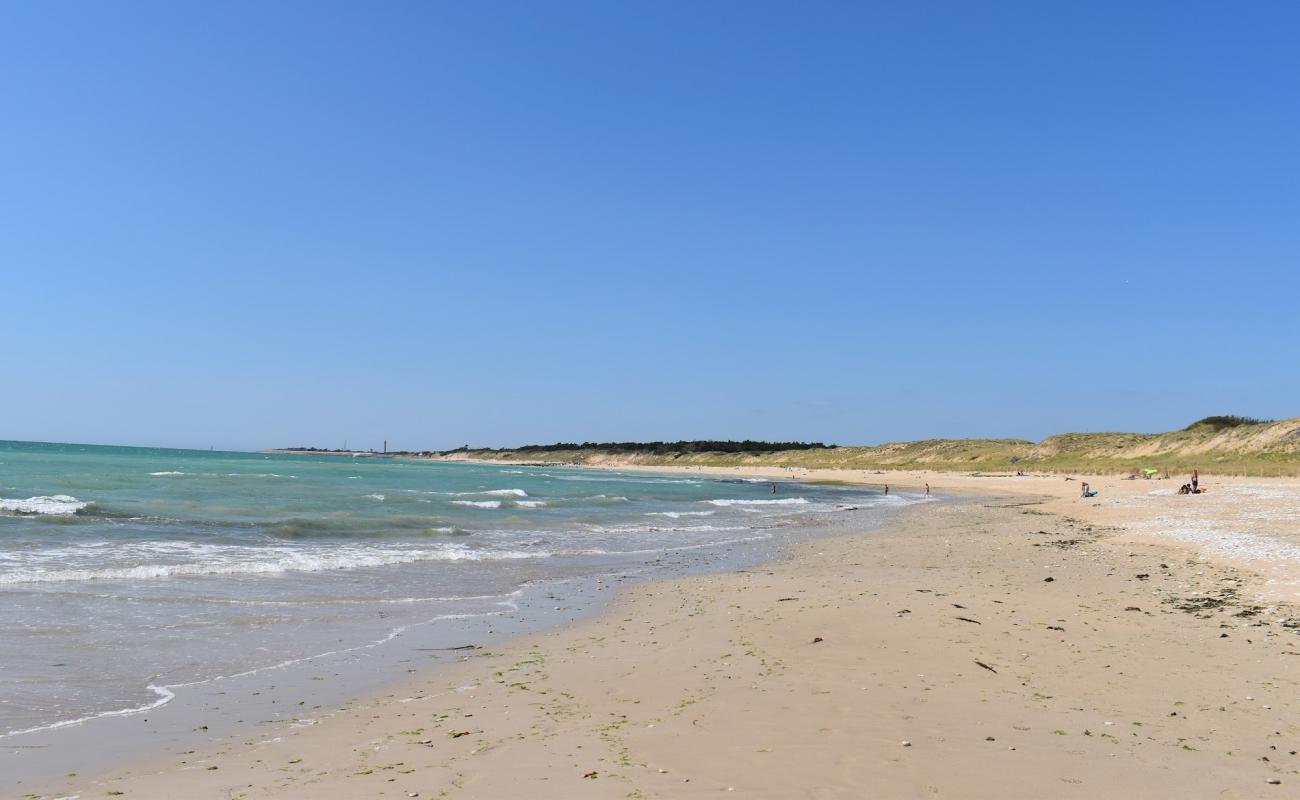 Foto de Campiotel beach con arena fina y guijarros superficie