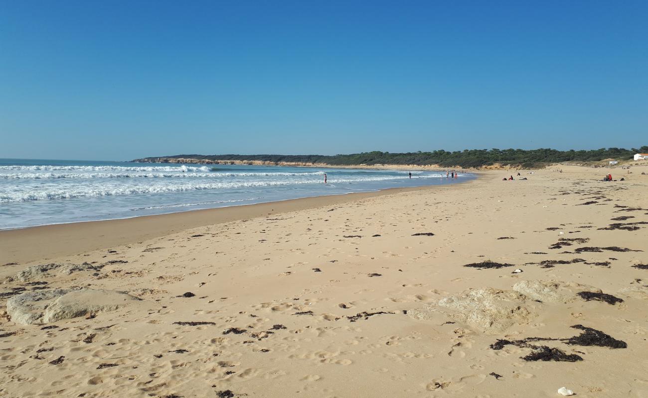 Foto de Mine beach con arena brillante superficie