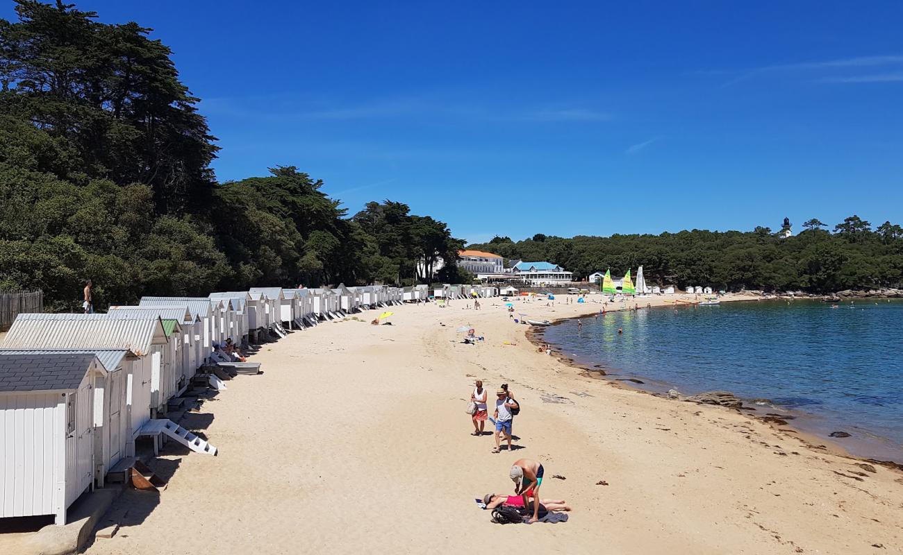 Foto de Plage des Dames con arena brillante superficie