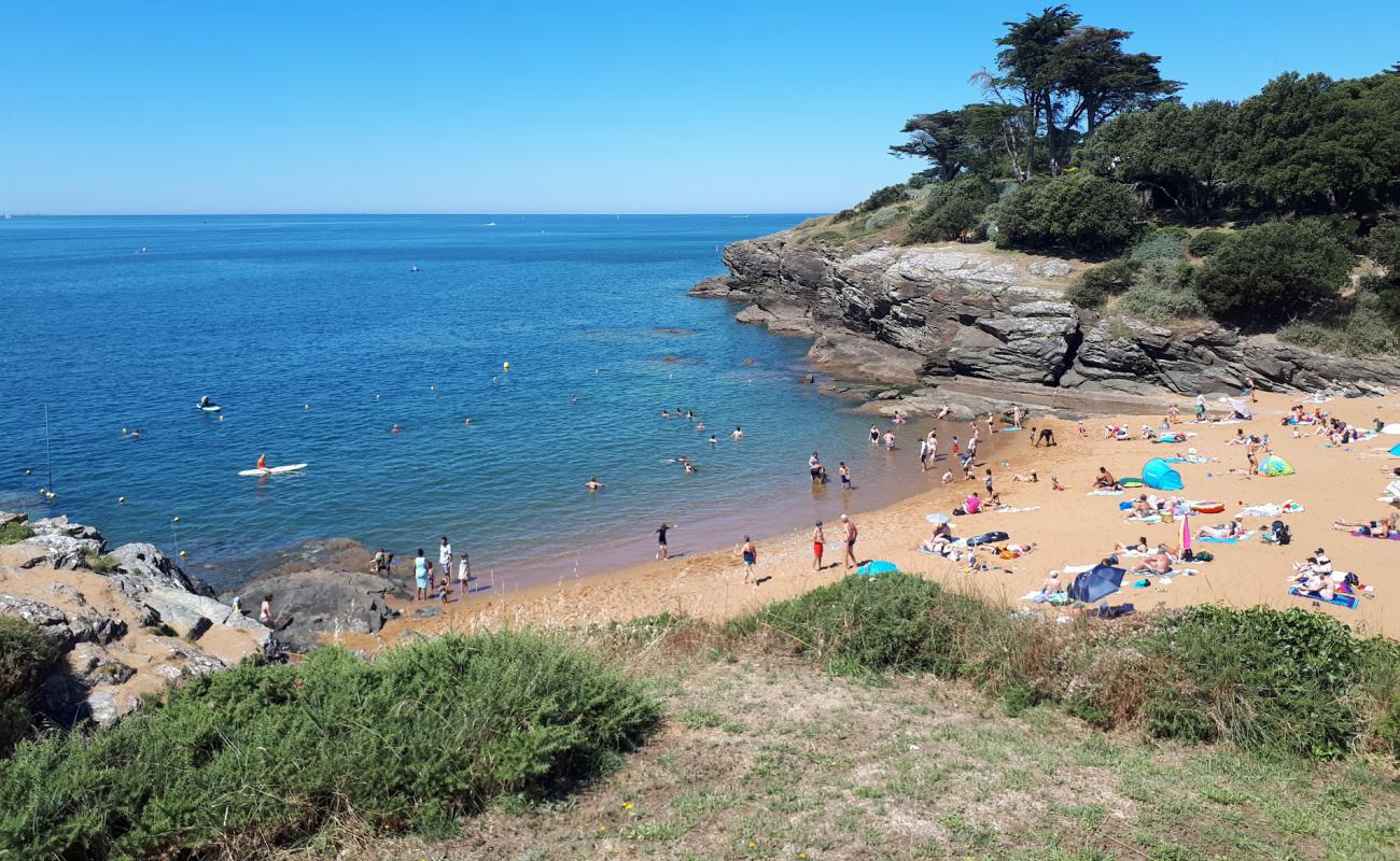 Foto de Porteau beach con arena brillante superficie