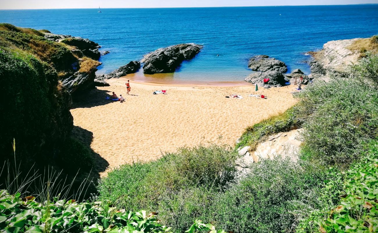 Foto de La Gauviniere beach con arena brillante superficie