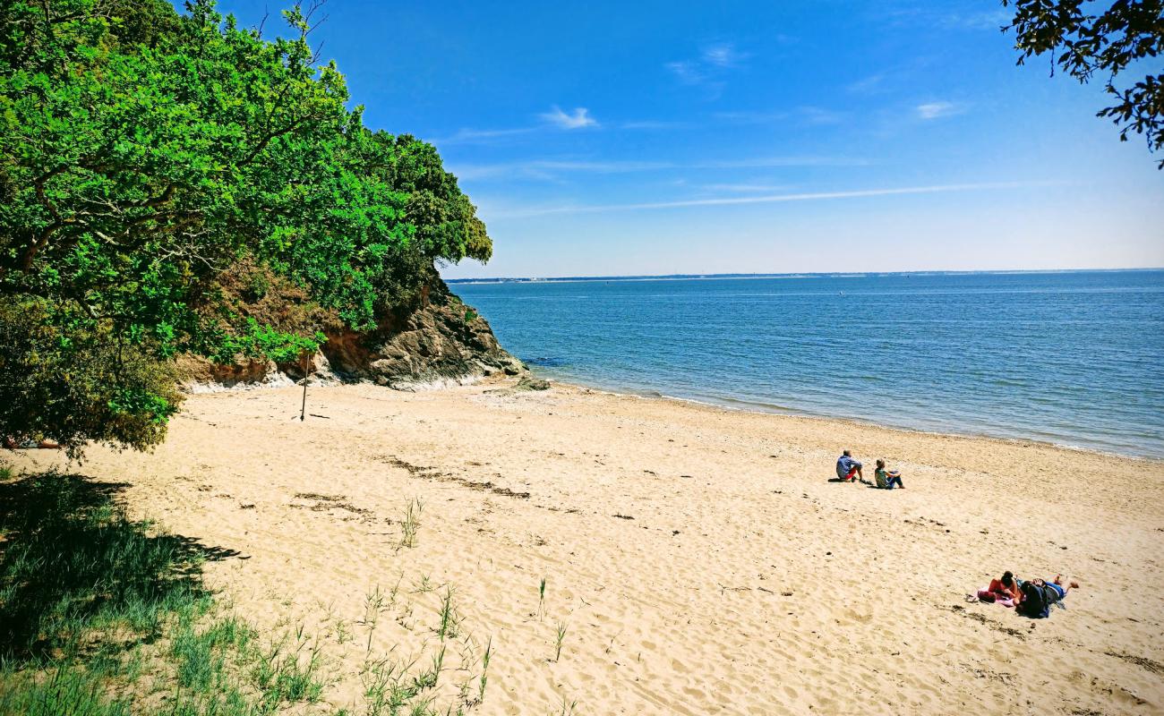 Foto de Porce beach con arena brillante superficie