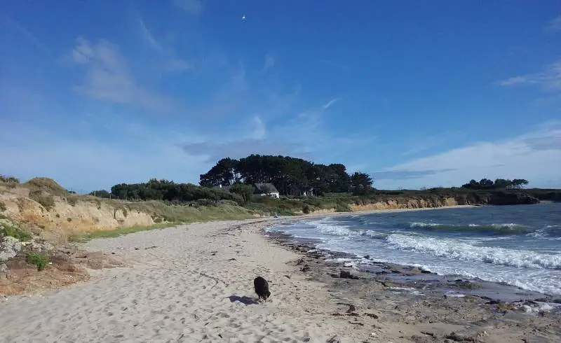 Foto de Plage Le Logui con arena brillante y rocas superficie