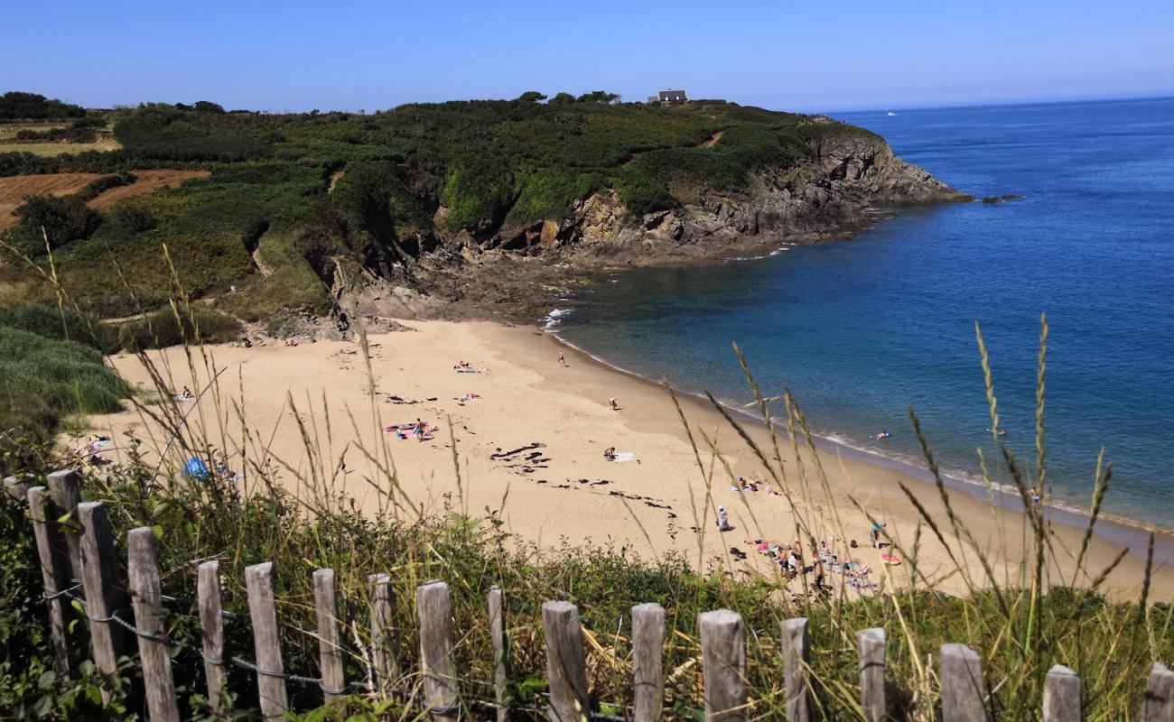 Foto de Plage du Saussaye con arena brillante superficie