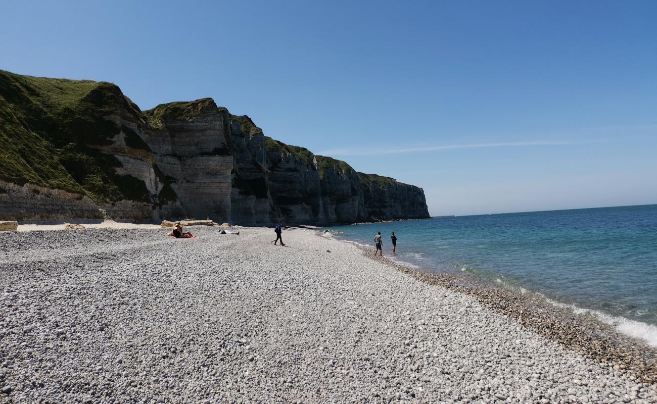 Foto de Plage du Tilleul con guijarro gris superficie