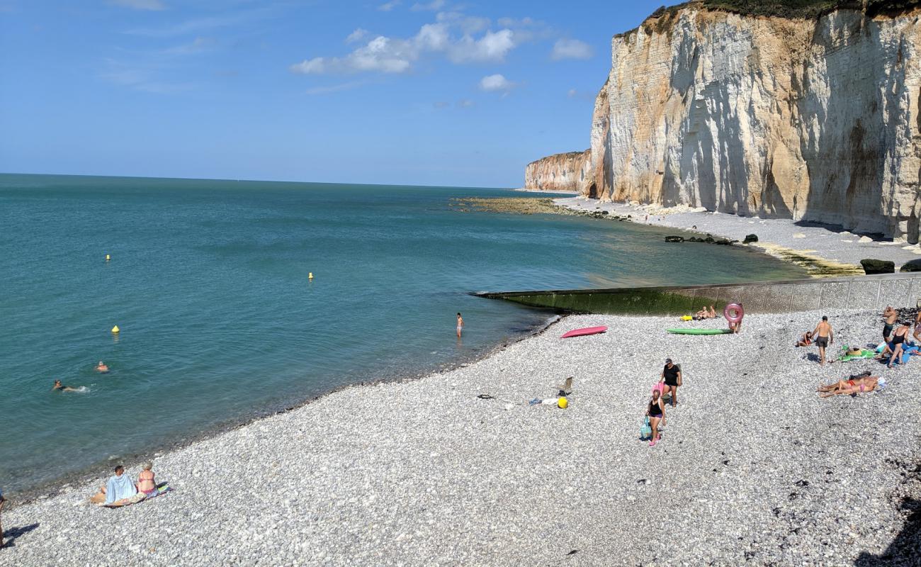 Foto de Plage des Grandes Dalles con piedra superficie