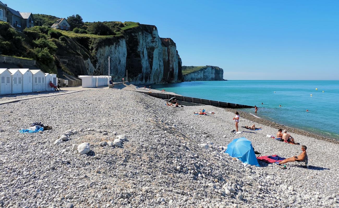 Foto de Plage des Petites Dalles con guijarro ligero superficie