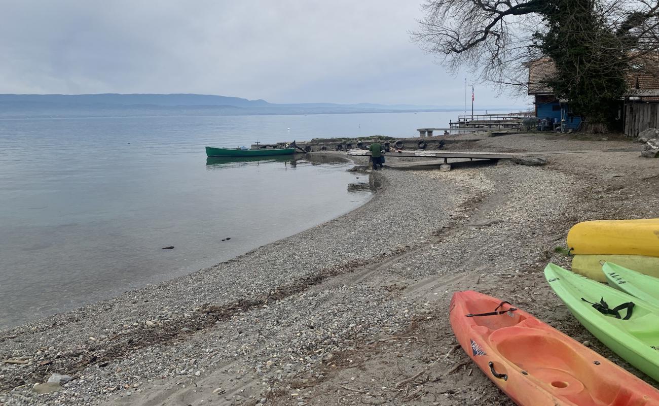 Foto de Plage de Sciez con guijarro fino gris superficie