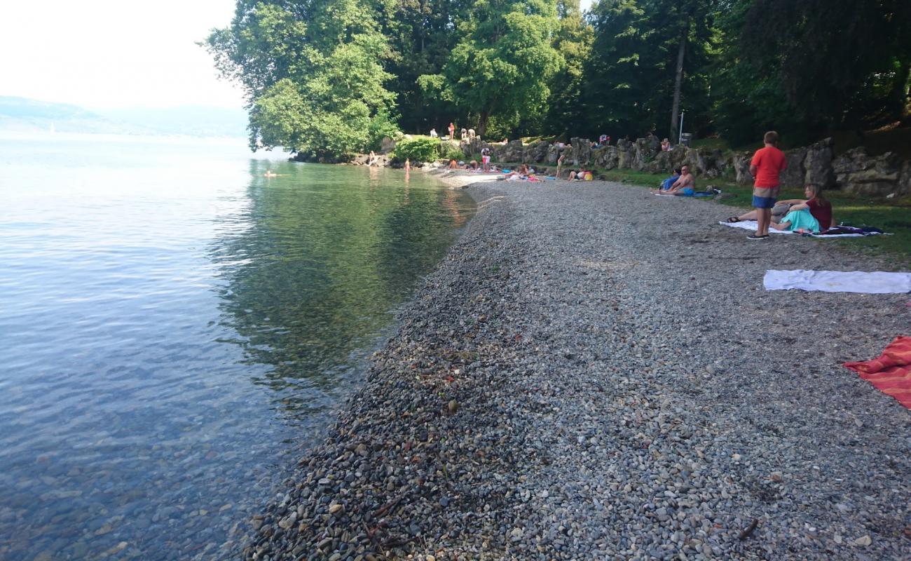 Foto de Plage de Tourronde con guijarro gris superficie