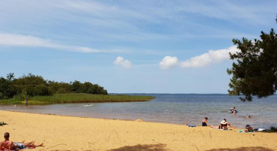 Plage des Bardets