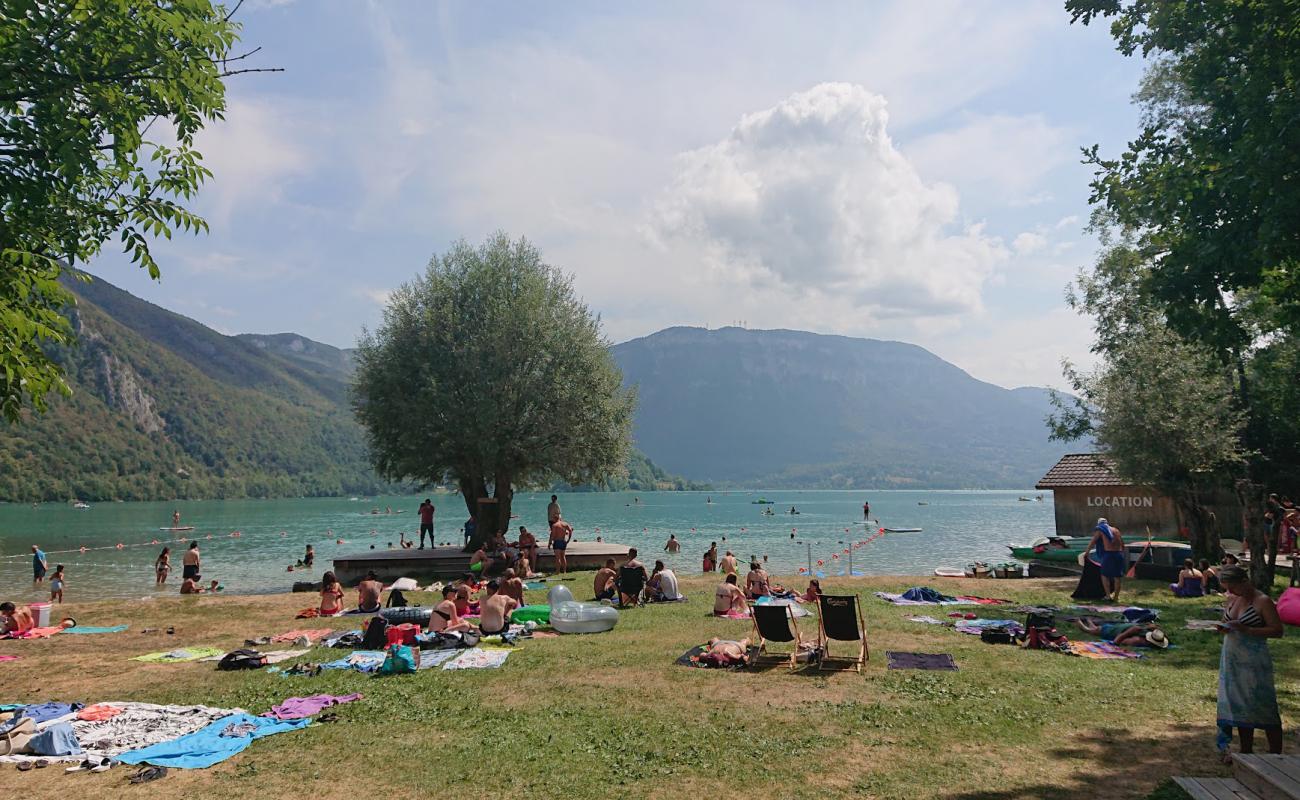 Foto de Plage La Crique Aiguebelette con hierba superficie