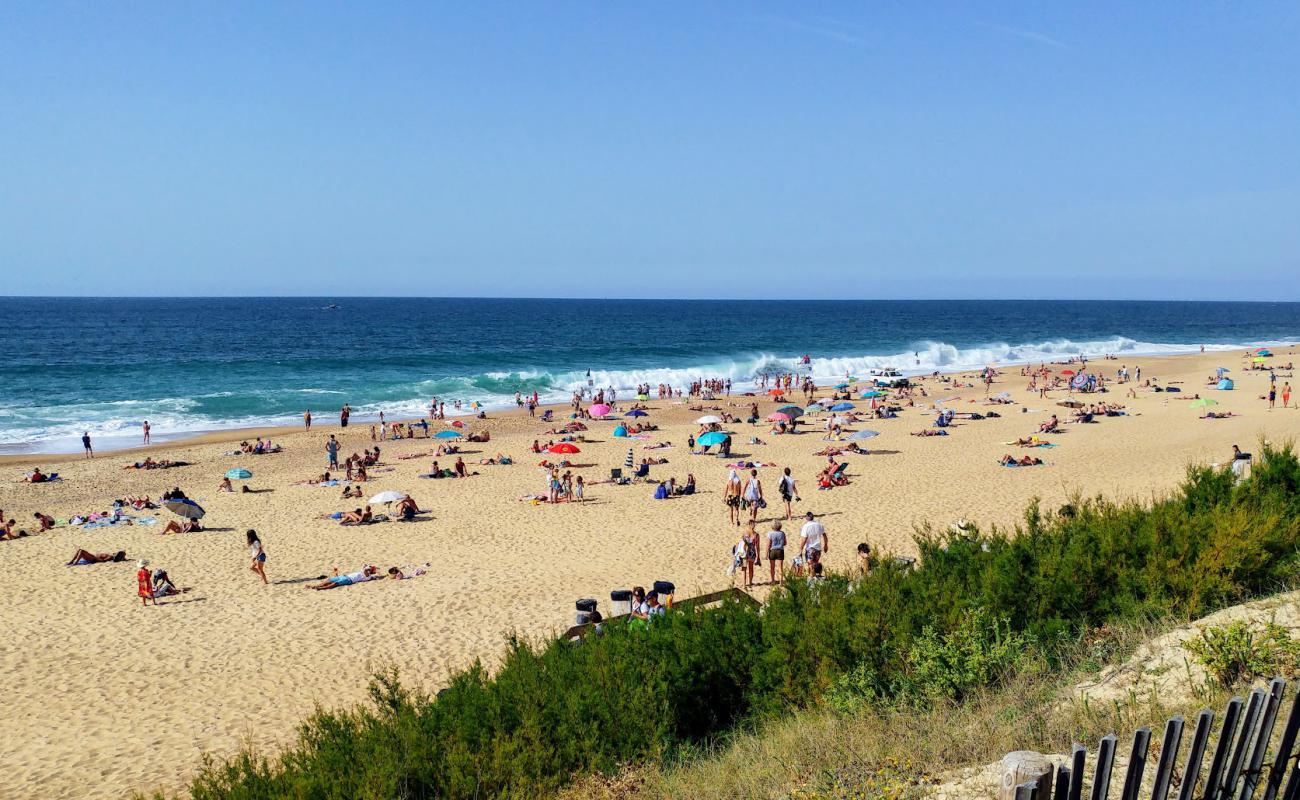 Foto de Playa de Ondres con arena brillante superficie