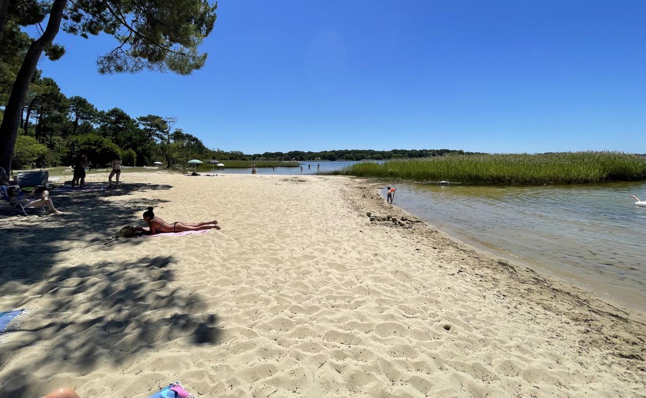 Foto de Sanguinet plage con arena brillante superficie