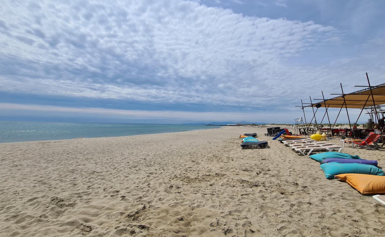 Foto de Playa de Leucate con arena brillante superficie