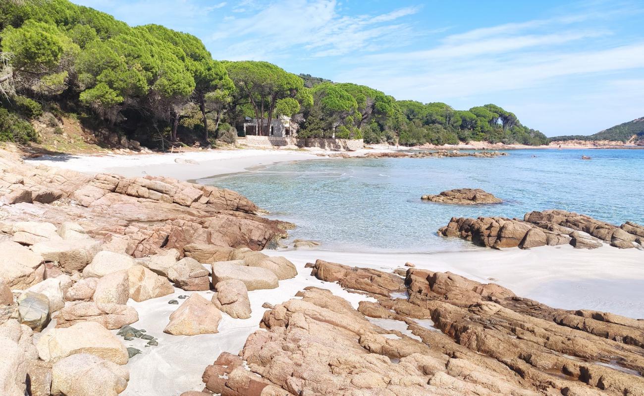 Foto de Plage de Capu Di Fora con arena brillante superficie