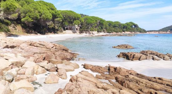 Plage de Capu Di Fora