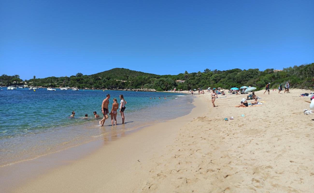 Foto de Plage de la Medea con arena brillante superficie