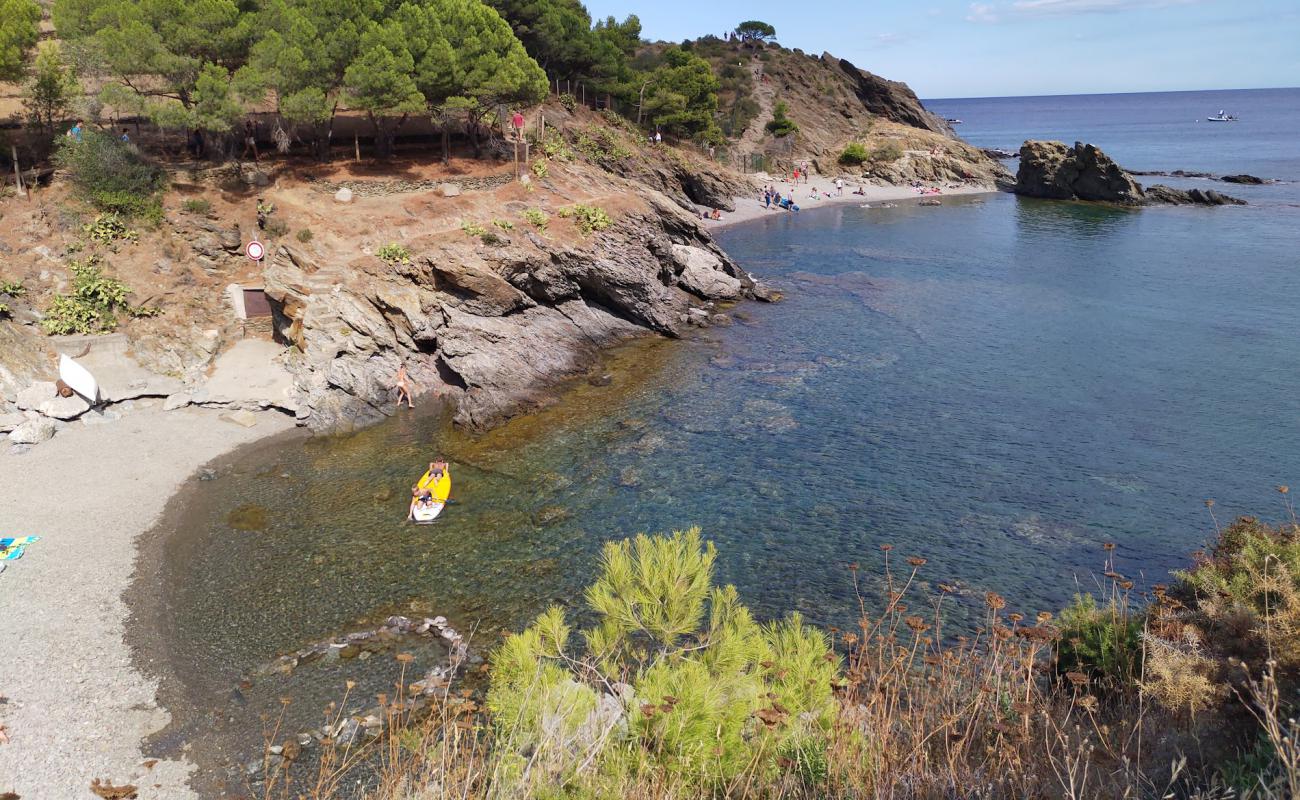 Foto de Valenti Plage con guijarro gris superficie