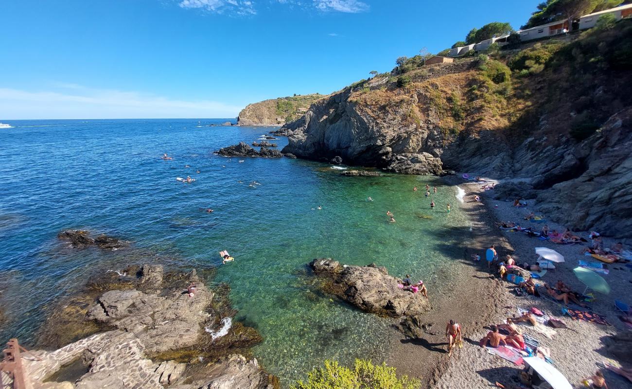 Foto de Plage Les Criques de Porteils con guijarro fino gris superficie