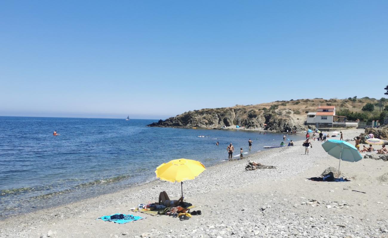 Foto de Plage Anse du Portell con guijarro gris superficie