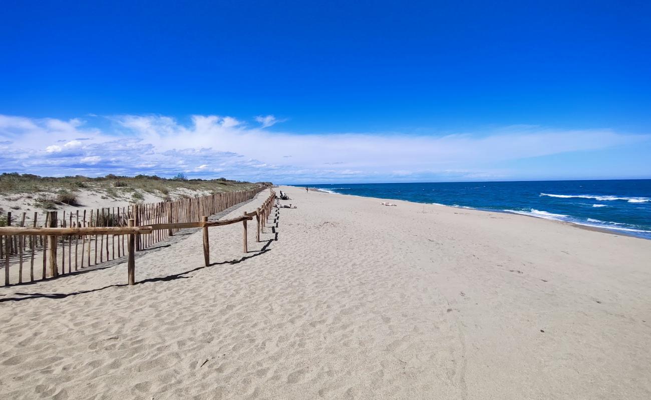 Foto de Plage du Sardinal con arena brillante superficie