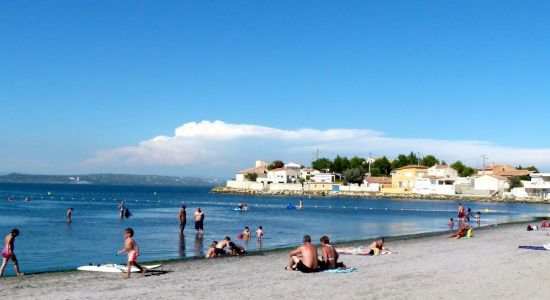 Plage de Massane